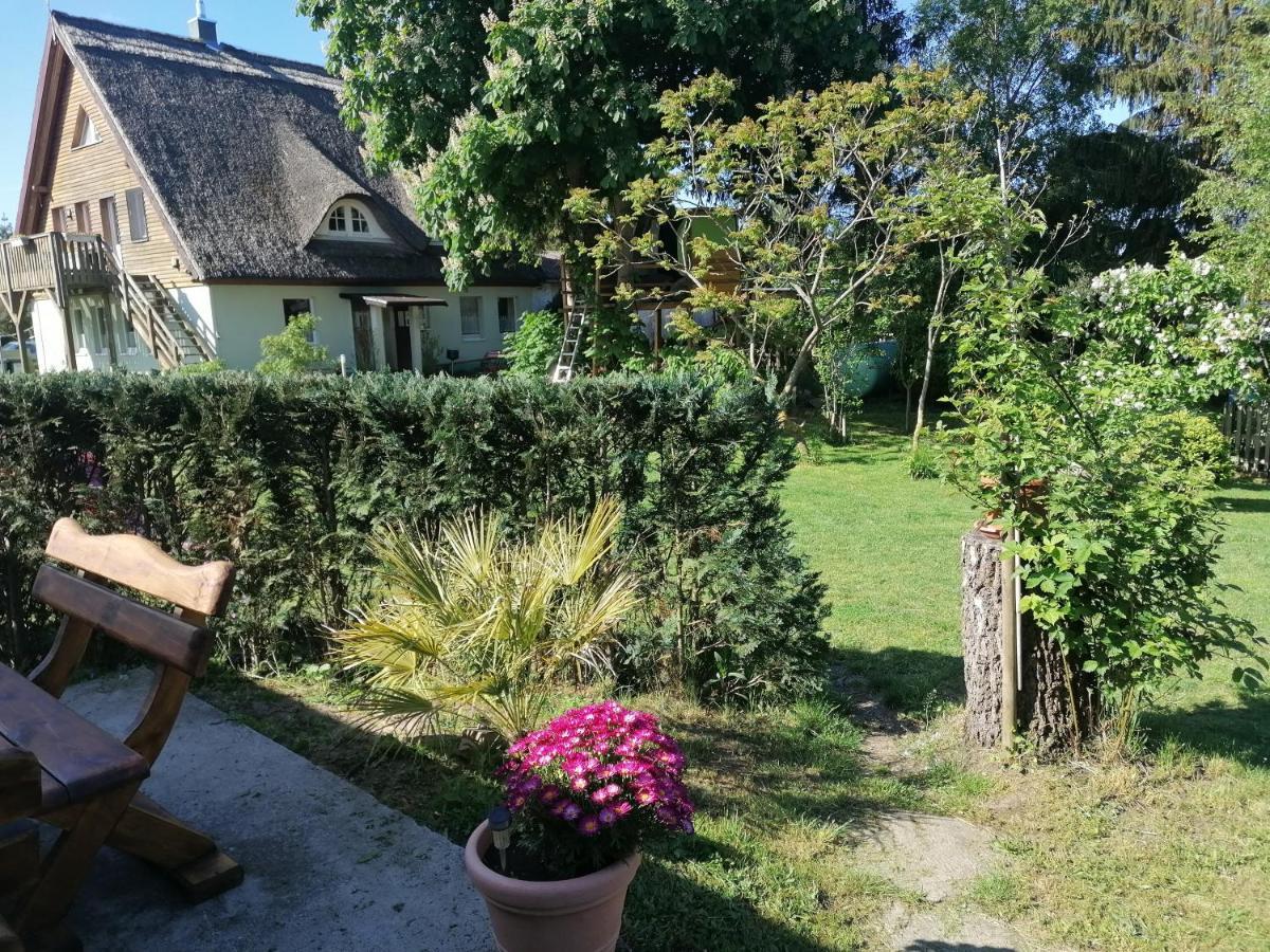 Neverow Ferienwohnung Am Haffberg מראה חיצוני תמונה
